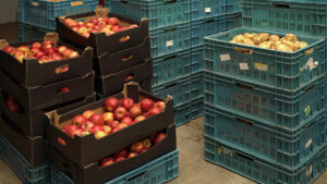 How Pallet Live Storage Keeps Grocery Store Shelves Supplied