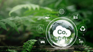 Globe Glass With CO2 Icons In Green Forest With Sunlight 300x169