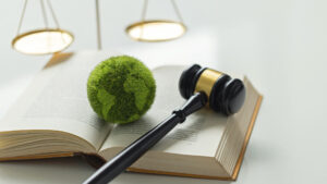 Green World And Gavel On A Book With Scales Of Justice 300x169